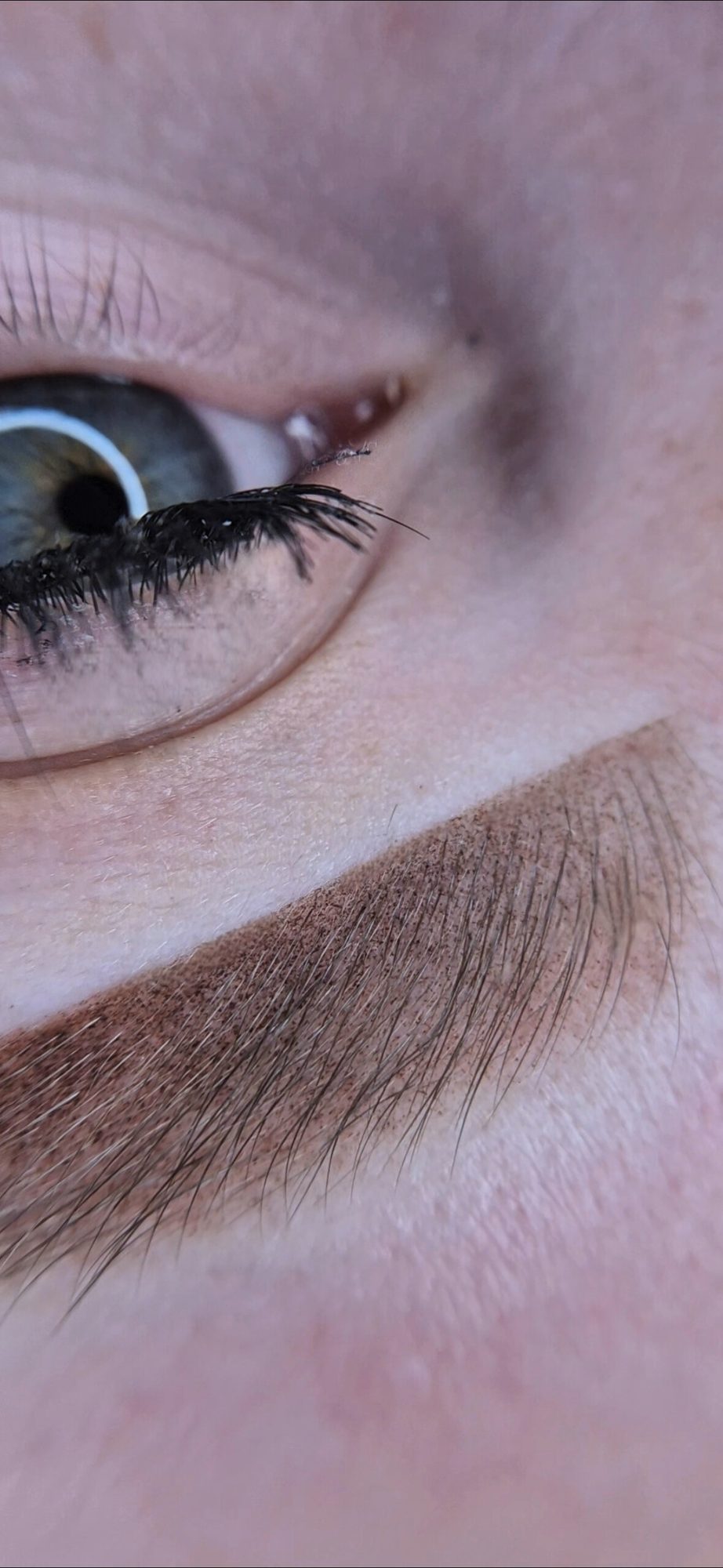 Powderbrows: Zacht gearceerd, geen harde lijn.