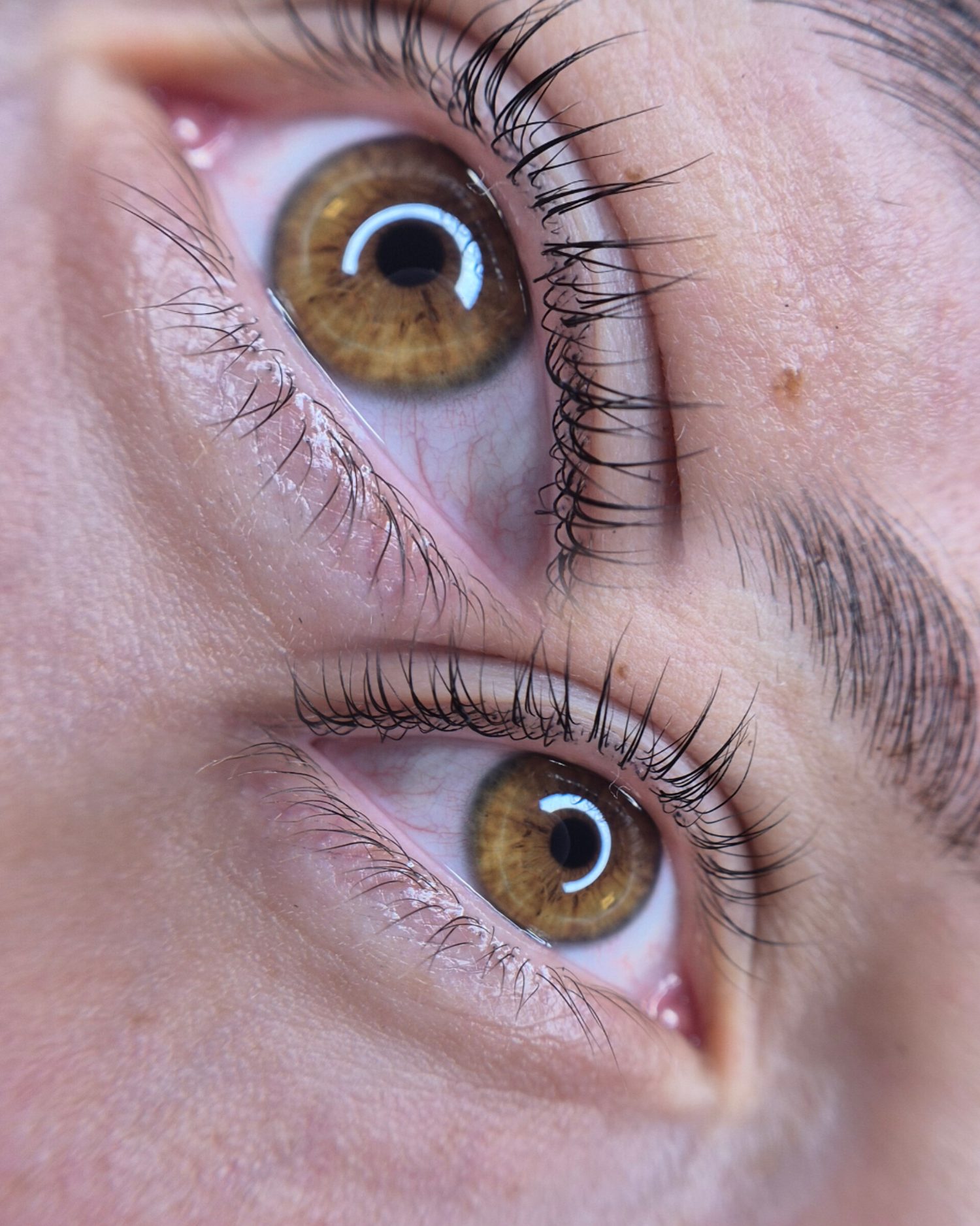 Lashlift: De eigen wimpers, gelift en in model.
